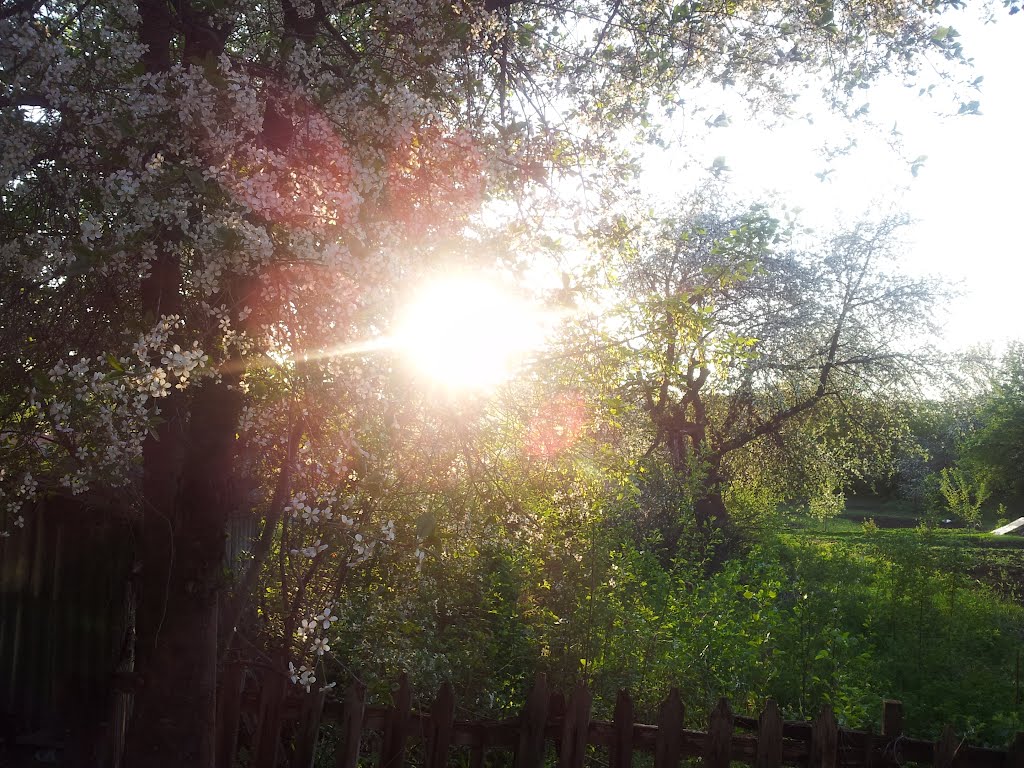 Закат