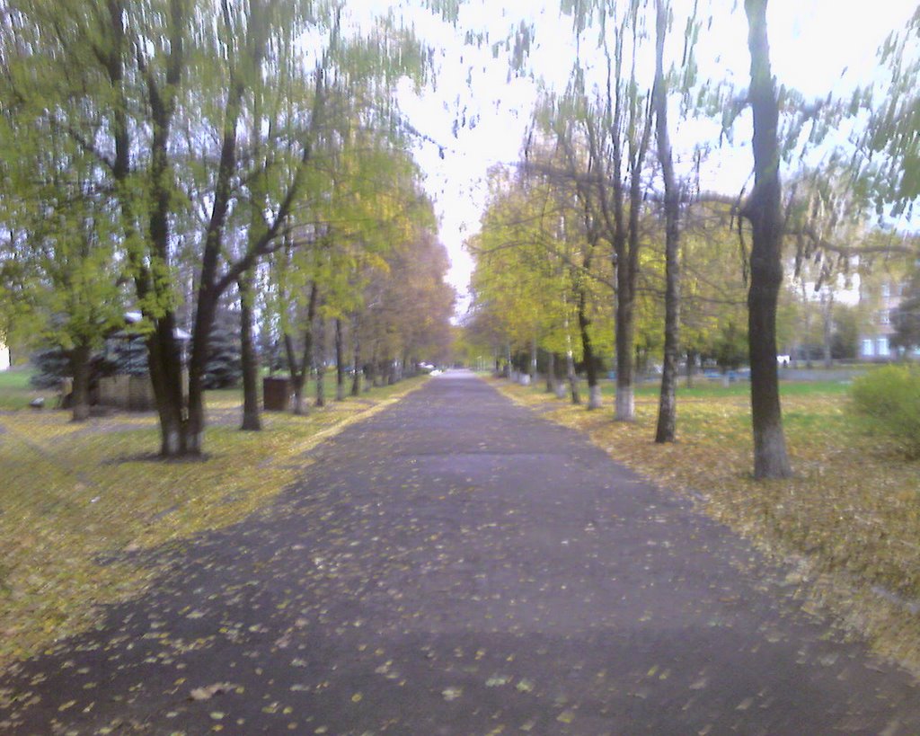ул.Полтавская, городская аллея
