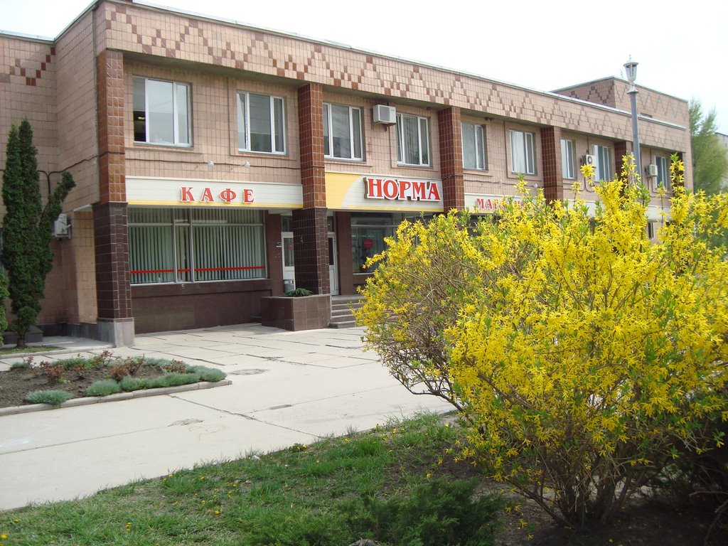 Кафе и магазин Норма