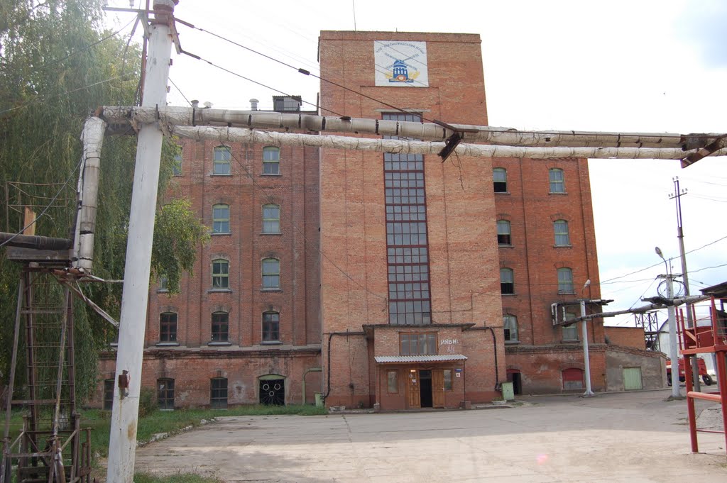 Мельница