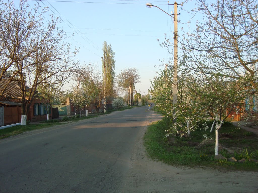 Улица Короленко