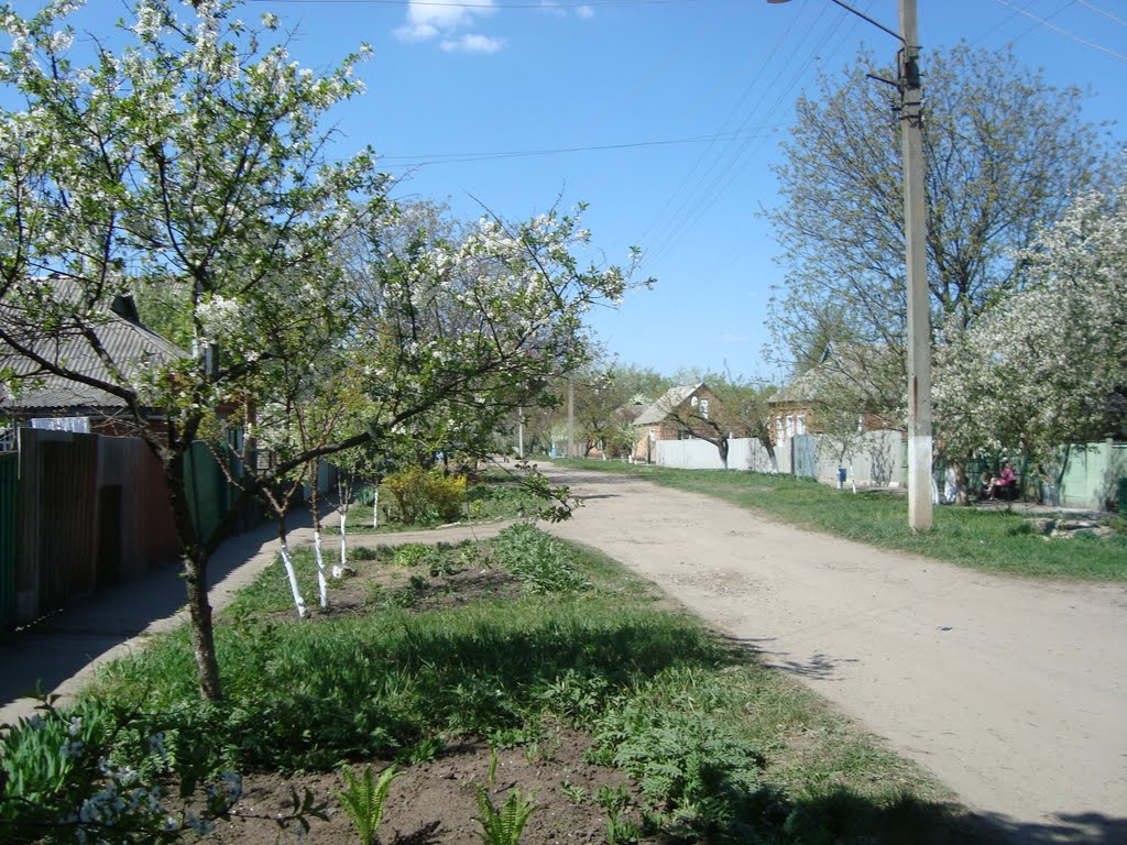 Улица Шумилова