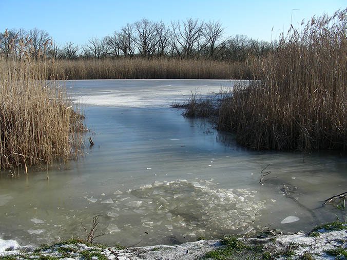 POPAS ON THE BERESTOVA RIVER