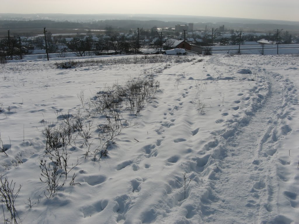 НИЗОВКА В СНЕГУ
