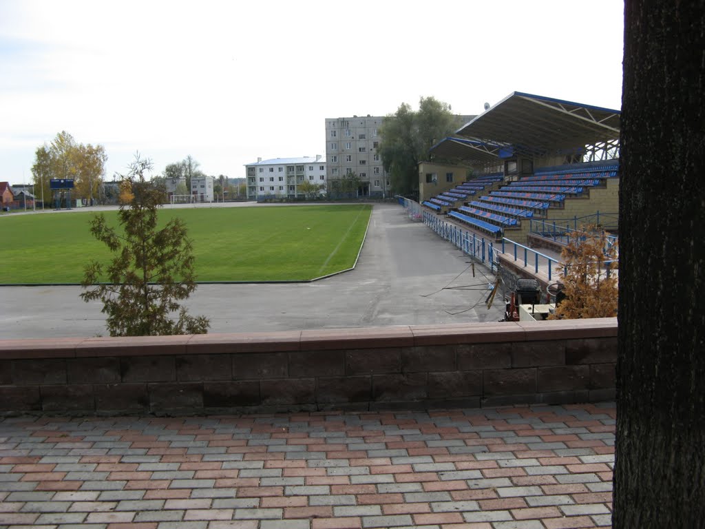 Krasnokutsk