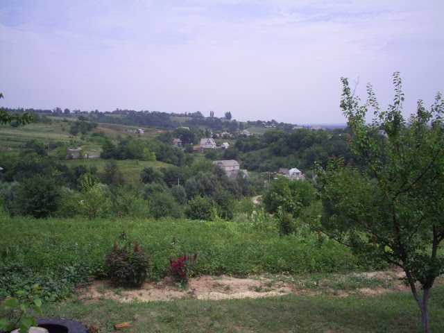 Украина. Краснокутск.