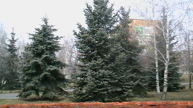 Оазис посреди дорог
