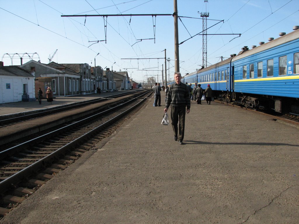 Купянск - рыбный город