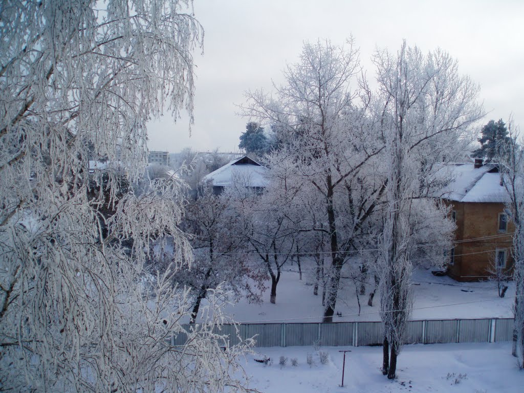 Купянск, Сахзавод, 2011 год