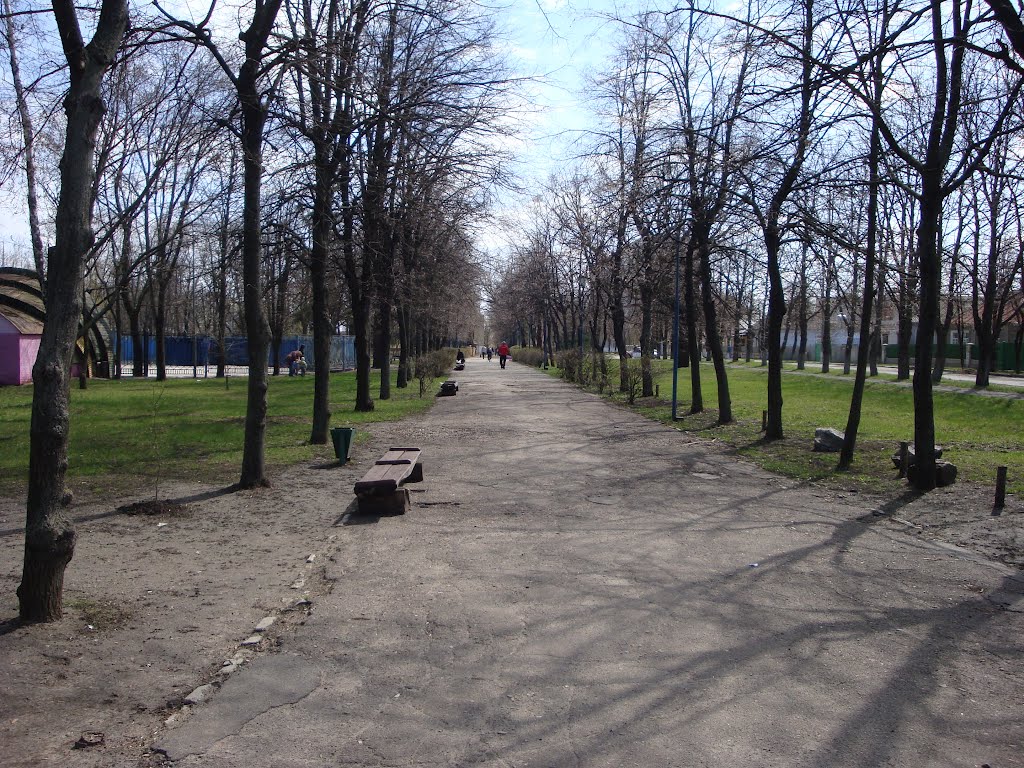 Городской парк