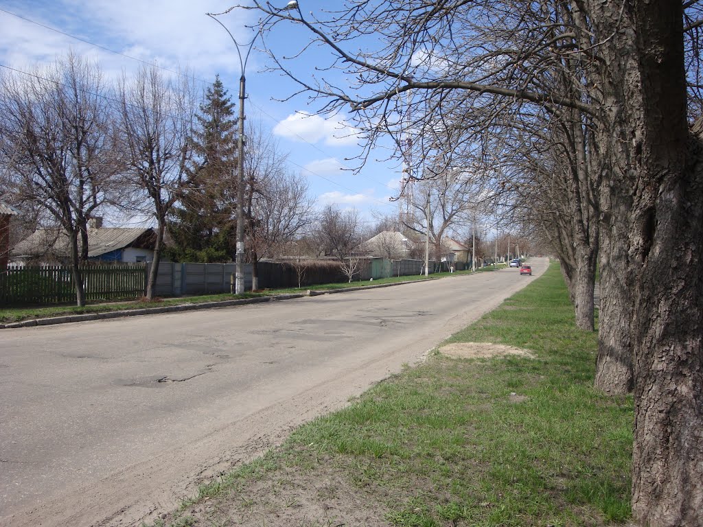 Городской парк