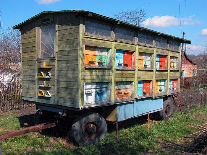 :) Buzzing-Bee`s truck in Lozovaya (Lozova), Ukraine