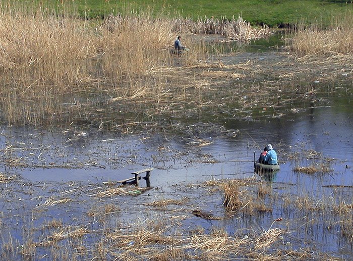 Fishers at lake in city-park of Lozovaya (Lozova), Ukraine