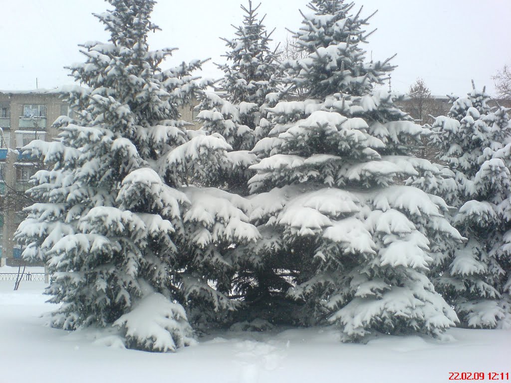 Лозовая "город"