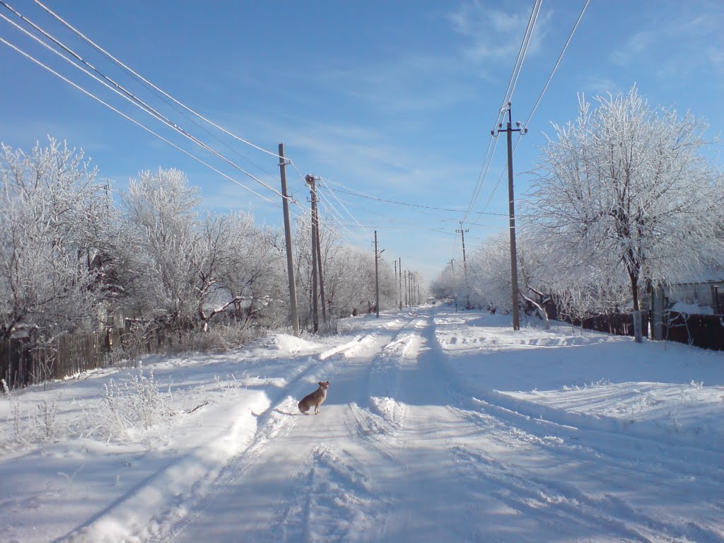 Посёлок