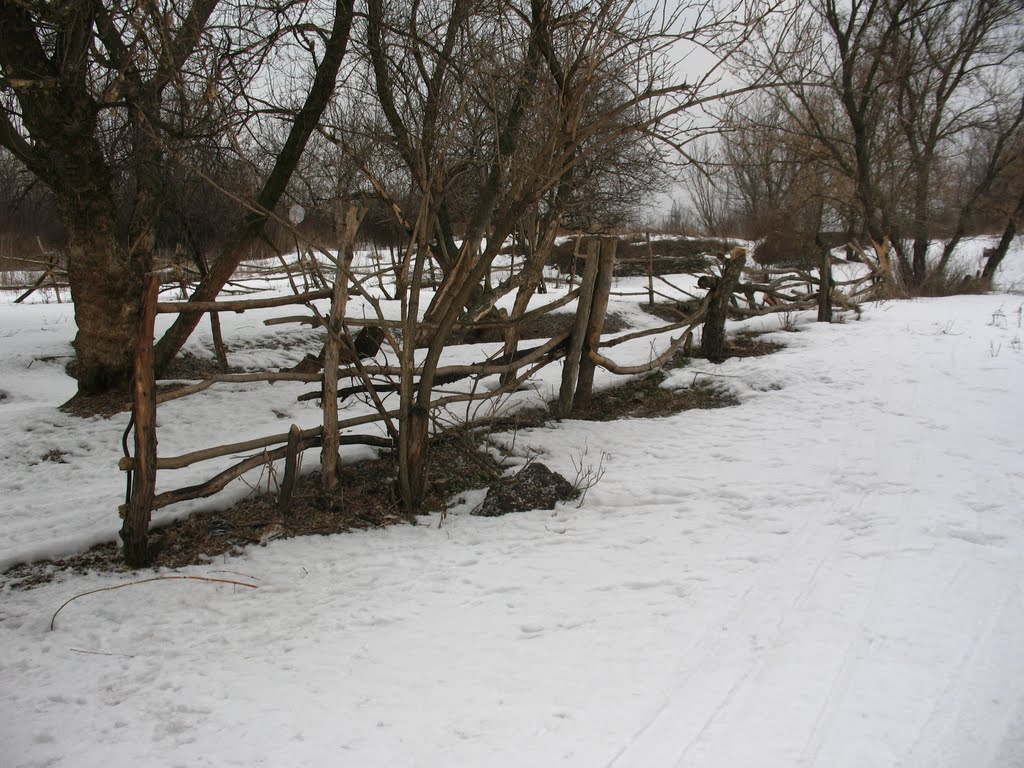 Плетень