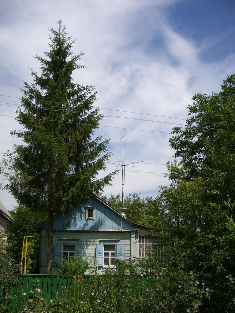 Домик в деревне