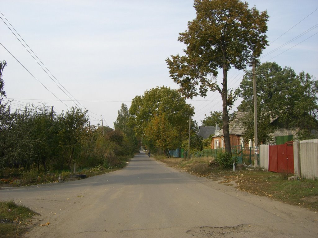 Ул.Гайдара