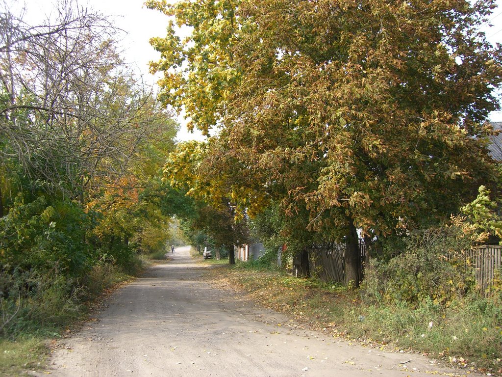 ул.Гайдара
