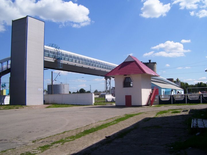 Пешеходный переход снаружи