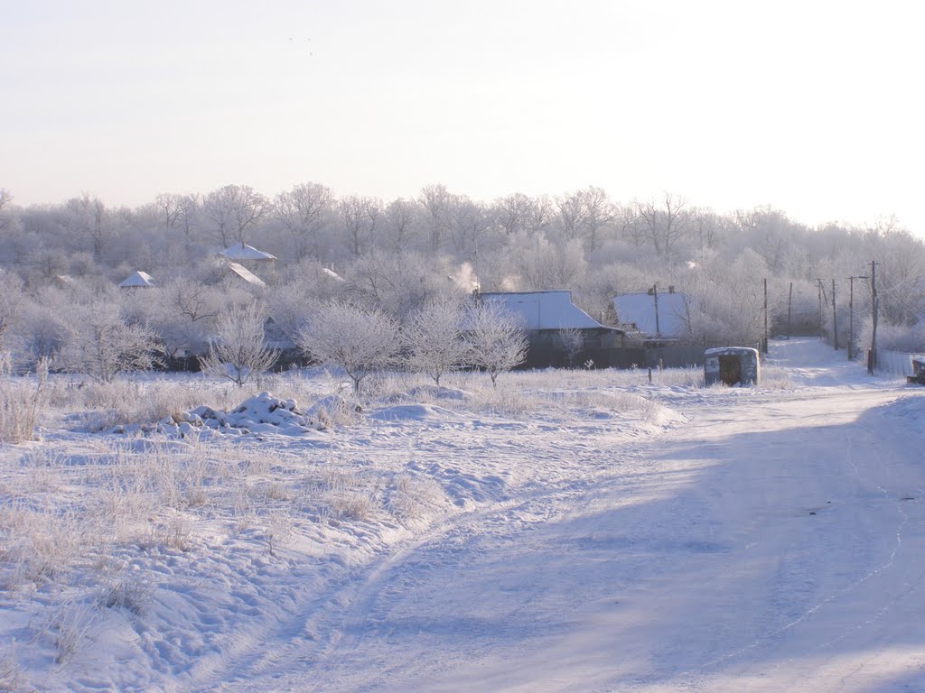 ул.Коцюбинського