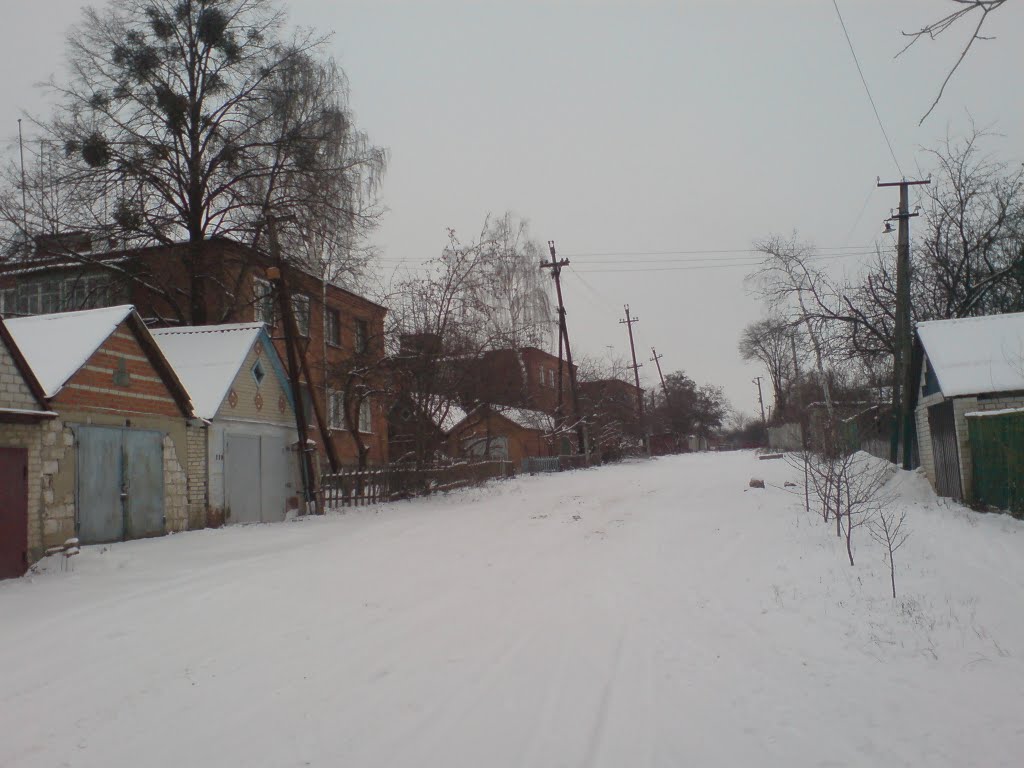 Зима. пер. Оранжерейный.