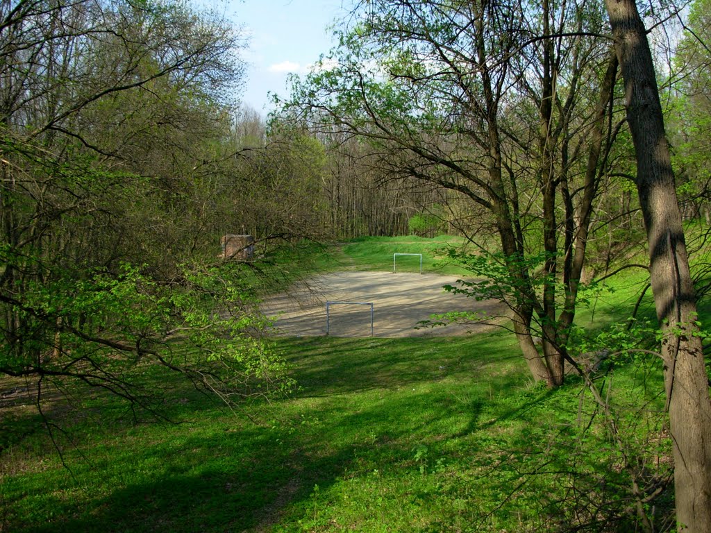 Футбольное поле бывшего пионерлагеря «Ласточка». Football field of closed Lastivka camp.
