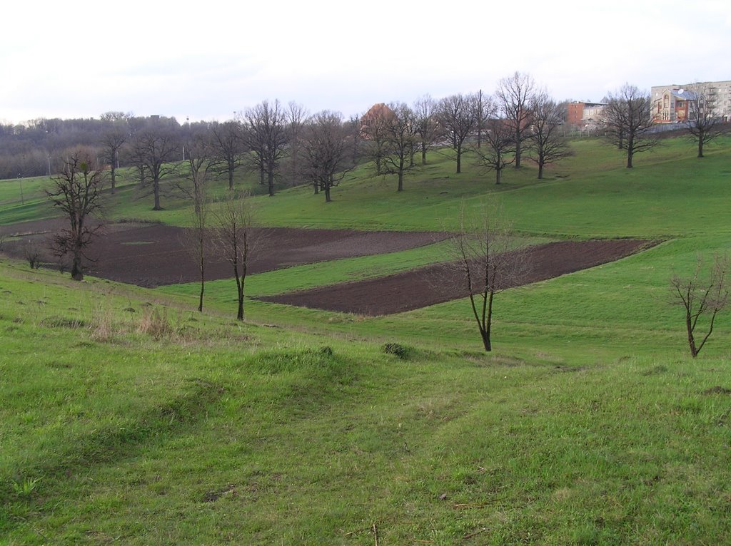 Dubnik