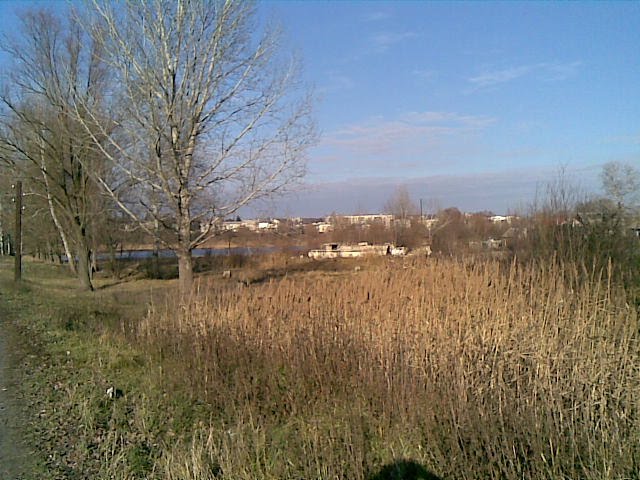 Новая Водолага. Вид на центр