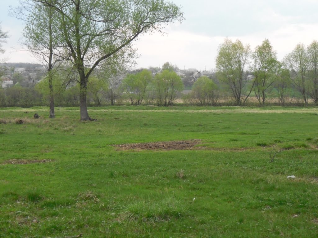 Луки