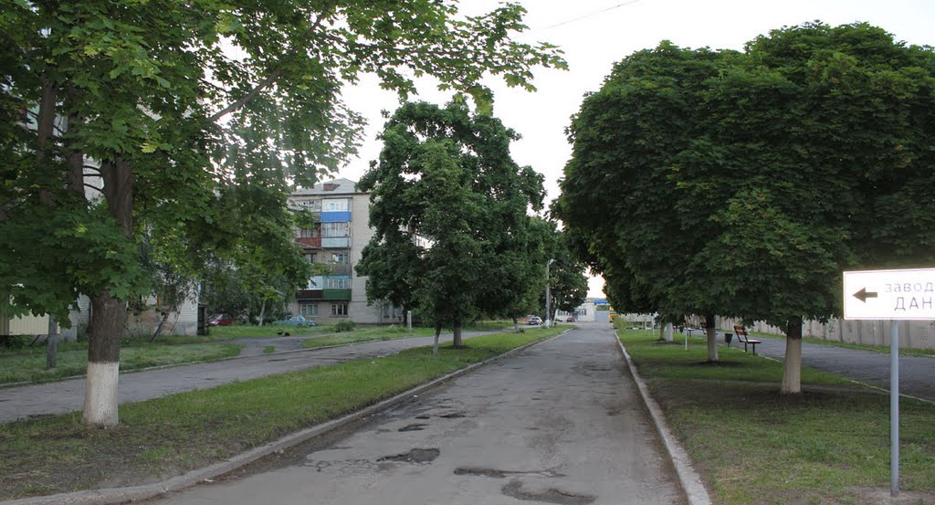 Дорога на завод