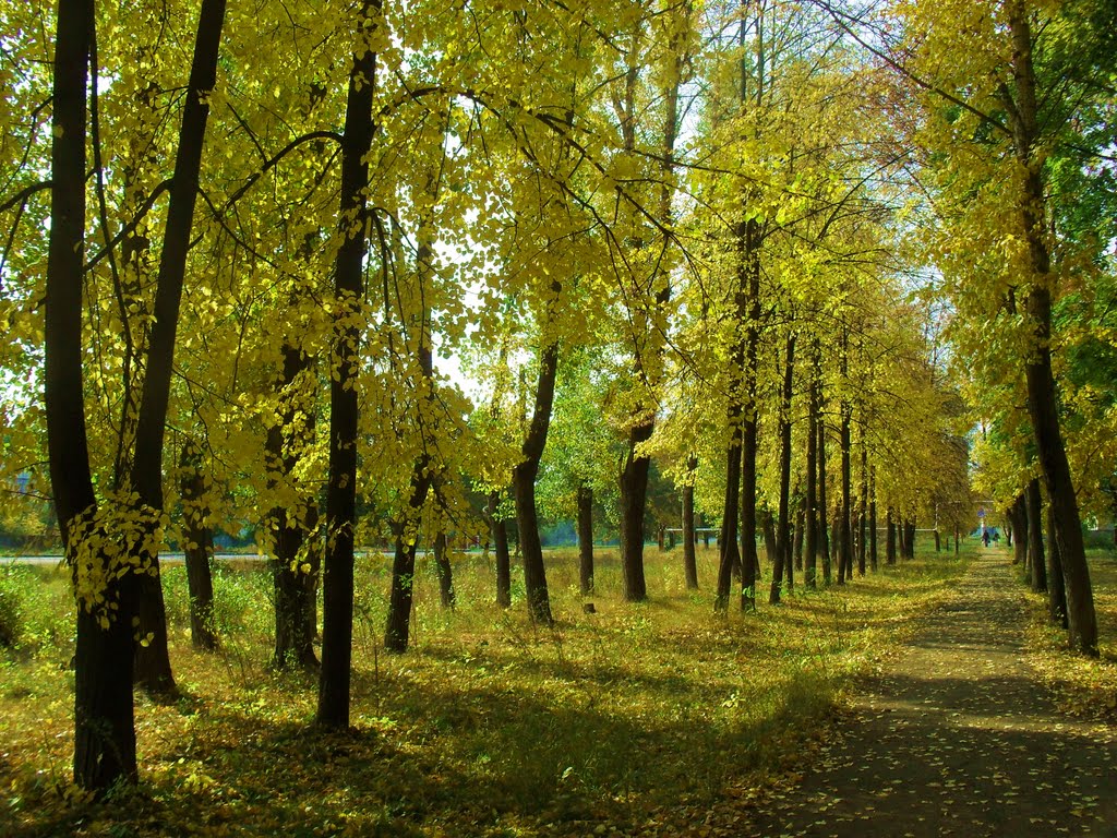 осень на ул. ЛенОна