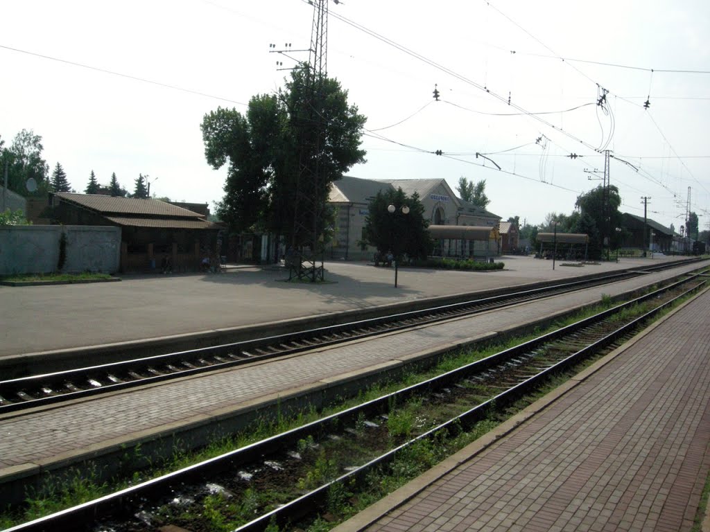 Ст. Лихачево_2