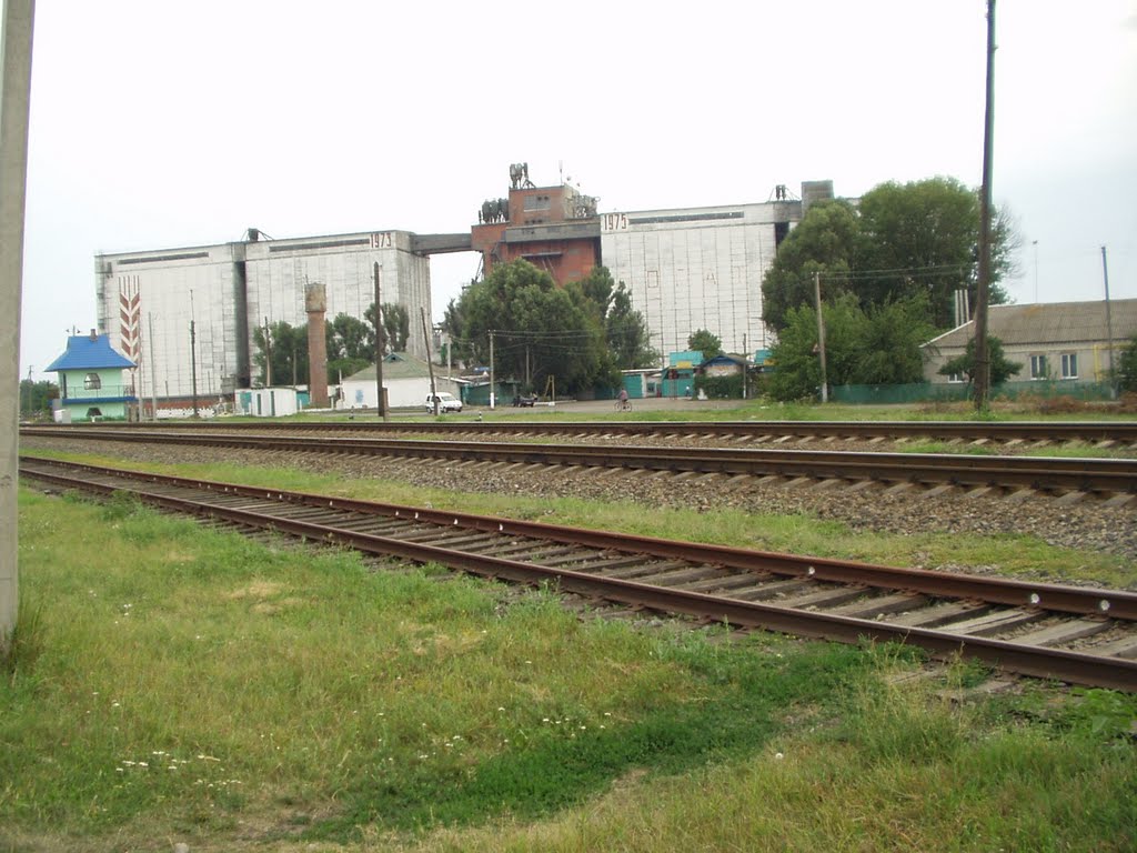 Элеватор