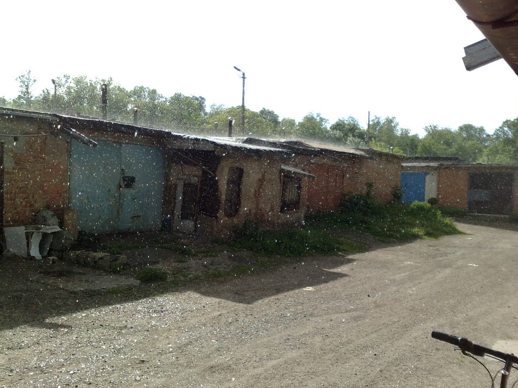 Летний дождик