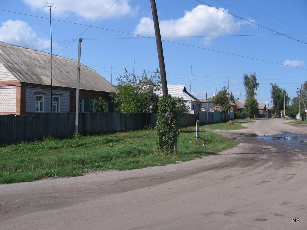 "Rustic Roads of Rio de Merefa"