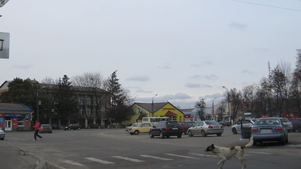 Не нарушая ПДД