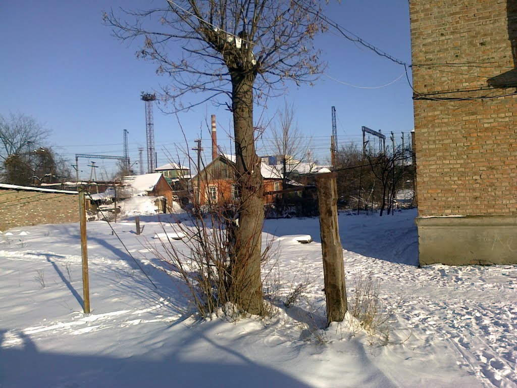 Январь_2011_2