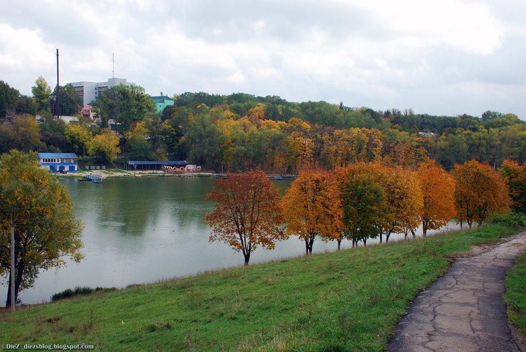 Ray-Elenovka Landscape