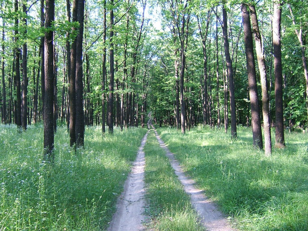 в парке