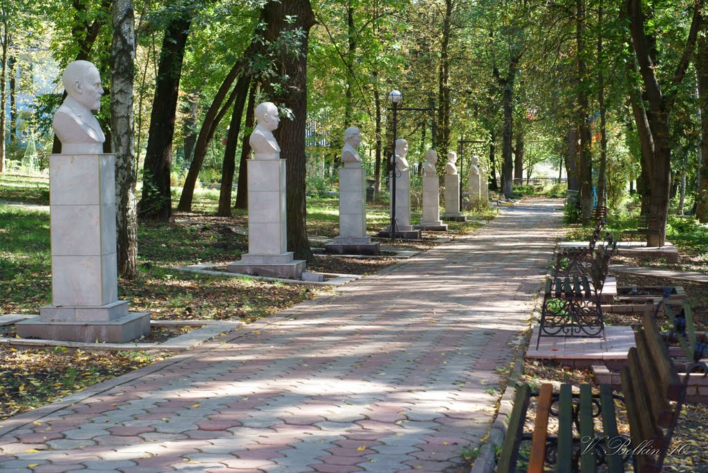 Аллея "светил" медицины-2.