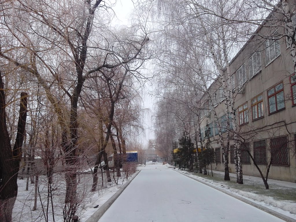 Лоск, зима