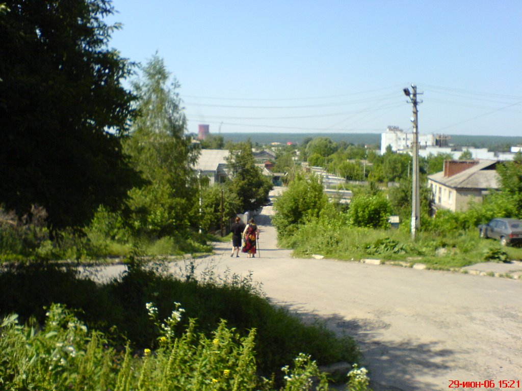 Савина Гора