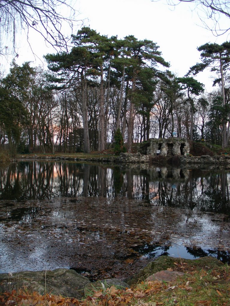 Пруд в парке