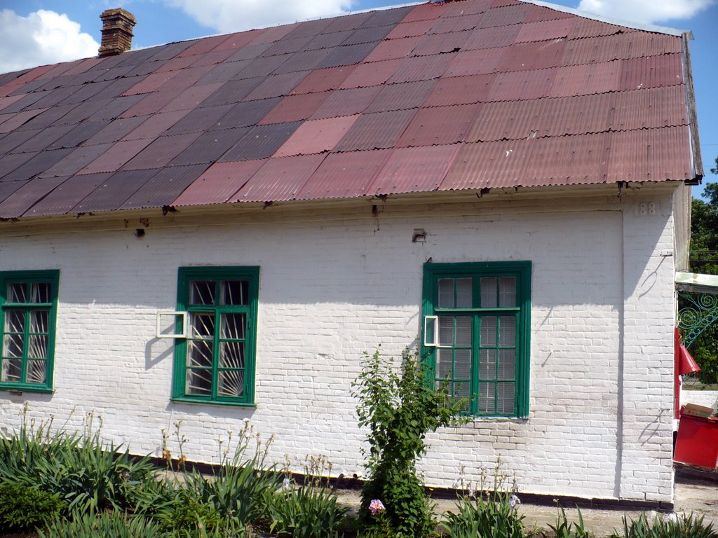 One of original, old buildings. Holes in wall: specially for birds. June, 2009