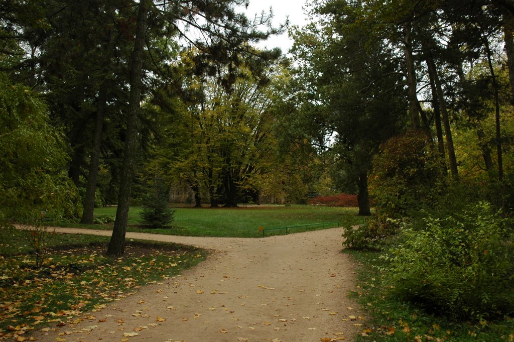 Аскания-Нова, парк. Sakania-Nova, park.