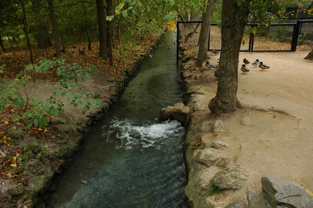 Аскания-Нова, зоопарк. Askania-Nova, zoo.