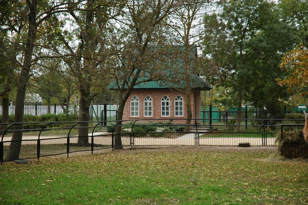 Аскания-Нова, зоопарк. Askania-Nova, zoo.