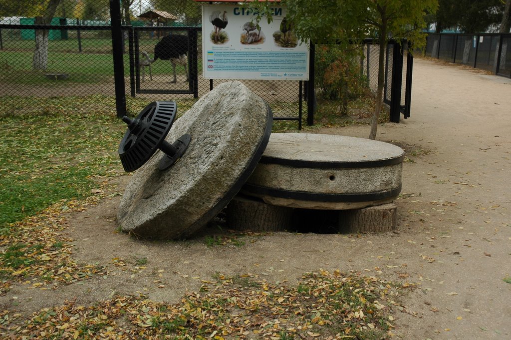 Аскания-Нова, зоопарк. Askania-Nova, zoo.