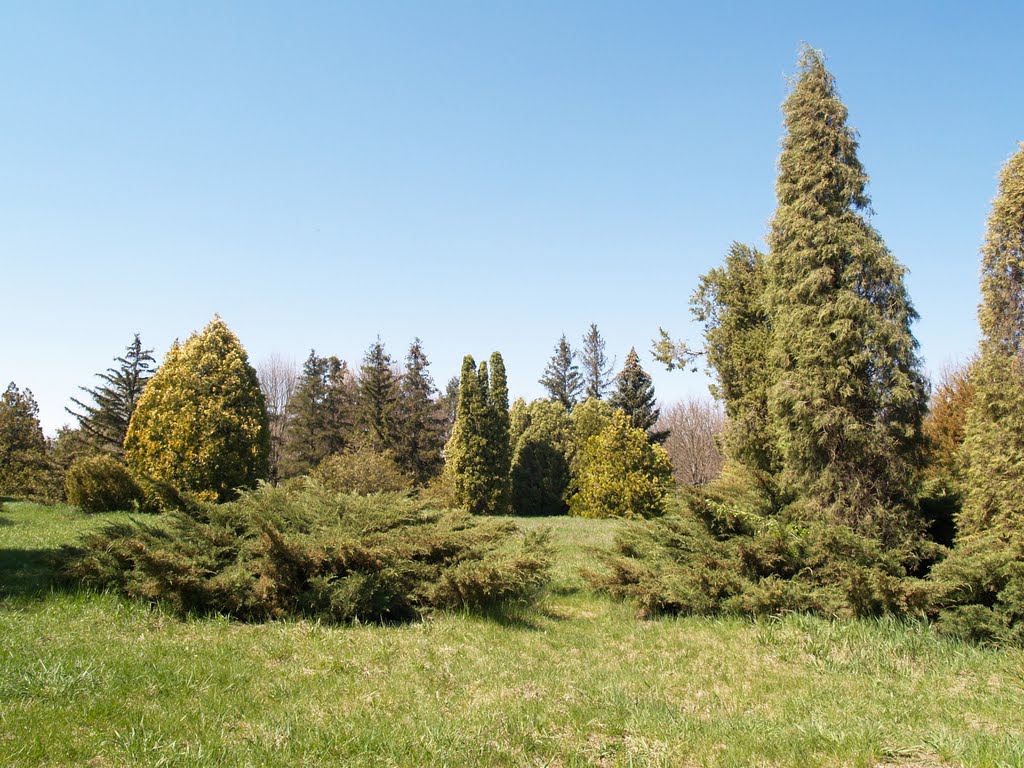 В дендропарке